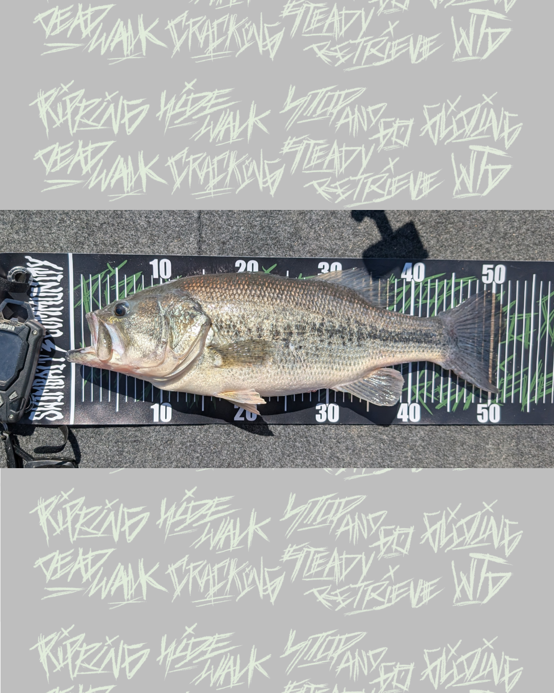 TECHNIQUES MEASURE BOARD