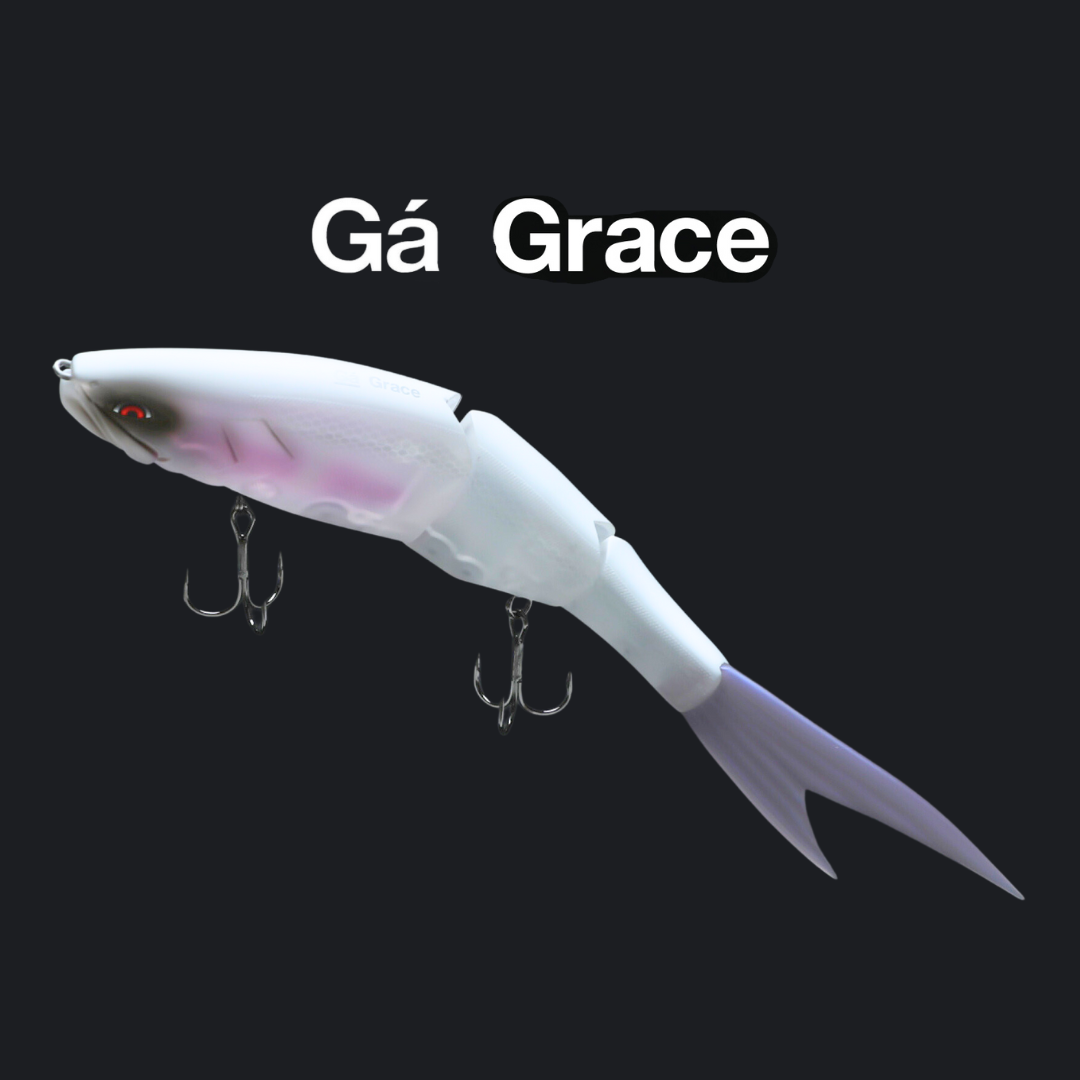 ガラパゴス グレイス 240F #14 ビビッドハス ガラパゴスGA Grace ガラパゴス グレイス 240F #14 ビビッドハス ガラパゴスGA Grace