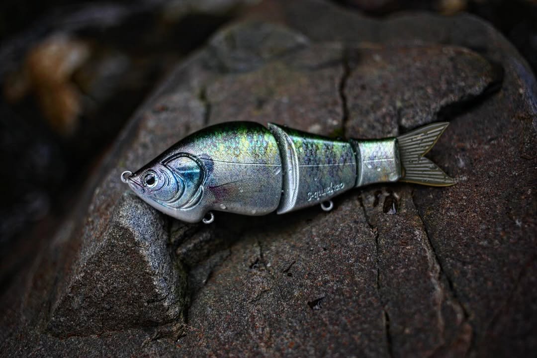 ROMAN MADE AYUMU S-QUAD S