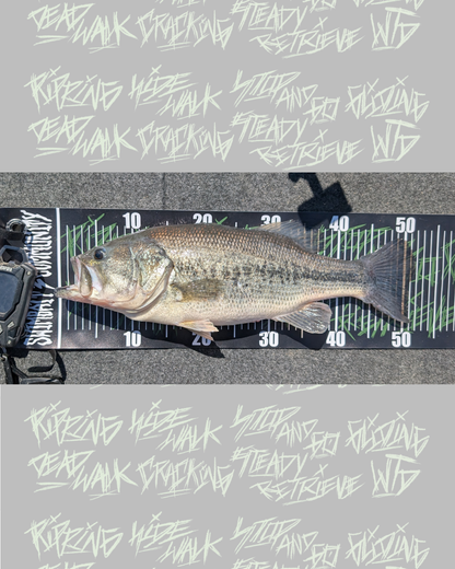 TECHNIQUES MEASURE BOARD