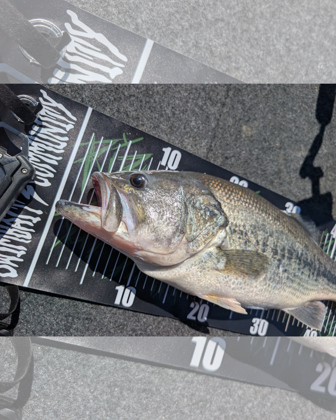 TECHNIQUES MEASURE BOARD