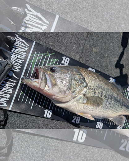 TECHNIQUES MEASURE BOARD