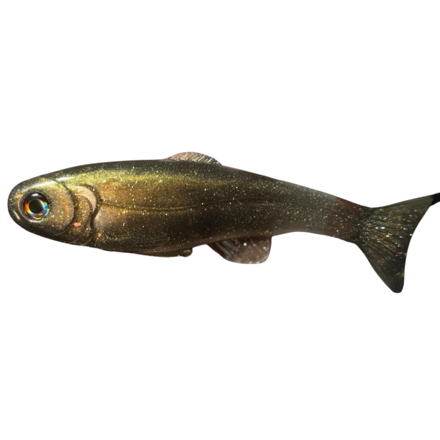 WEST COAST BAITS ROMA TROUT