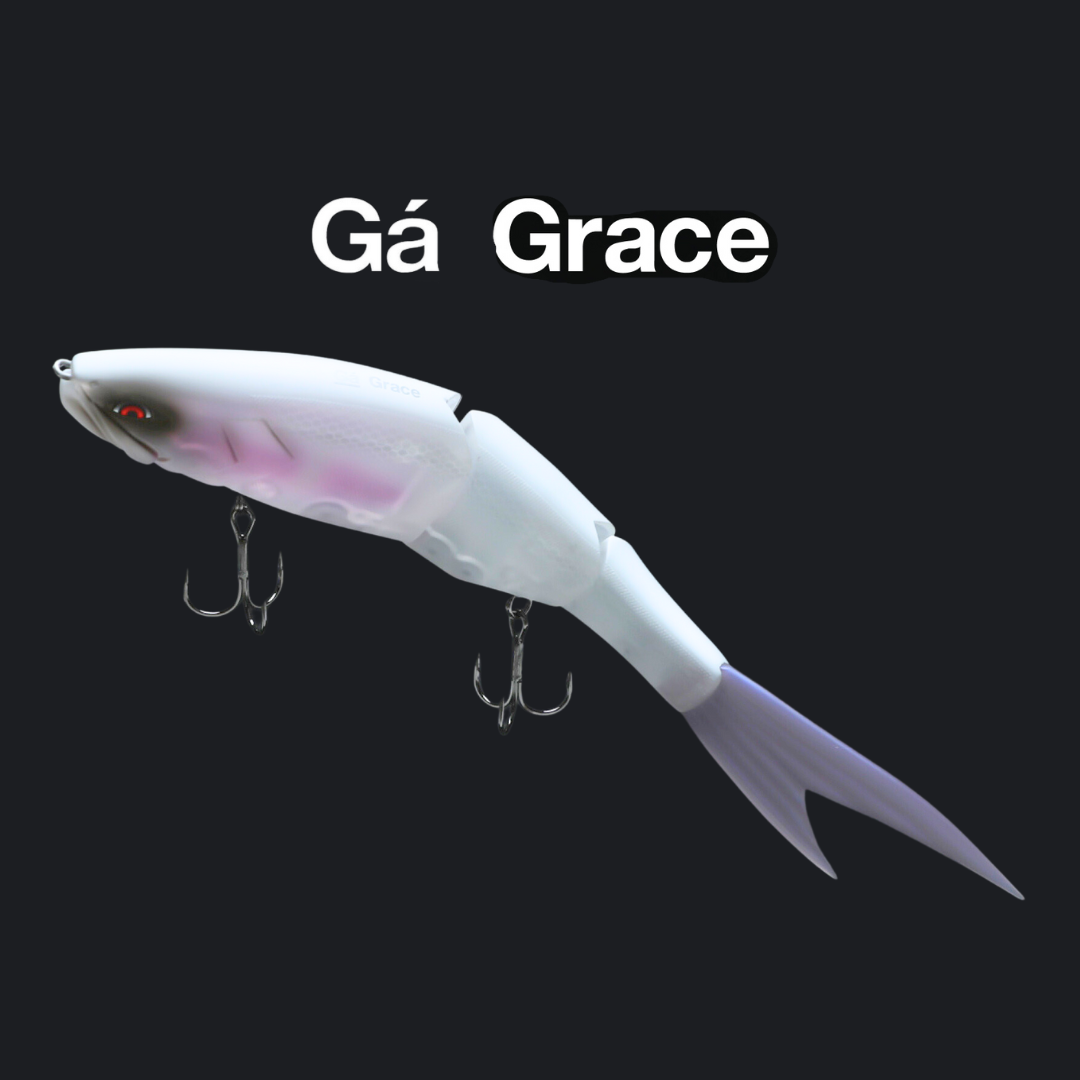 GALAPAGOS GRACE 240F