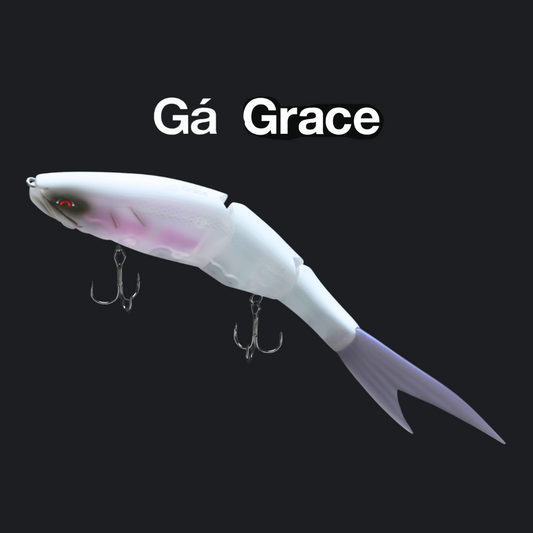 GALAPAGOS GRACE 240F