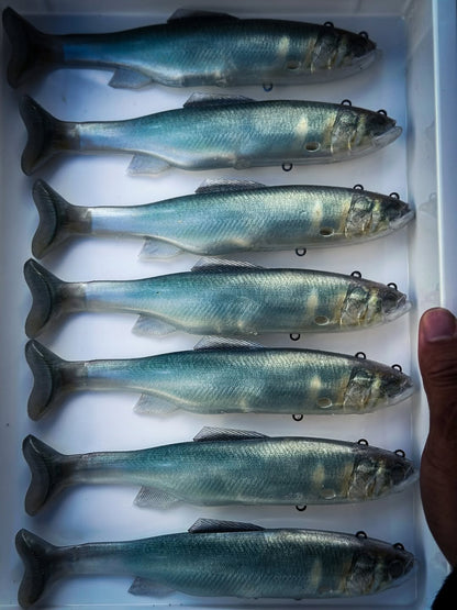 VESTRANGE OVER 000 (Reserva)