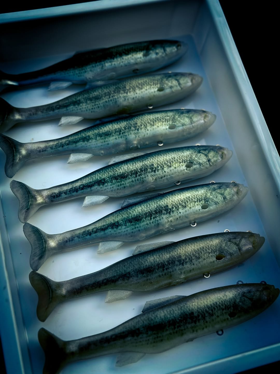 VESTRANGE OVER 000 (Reserva)