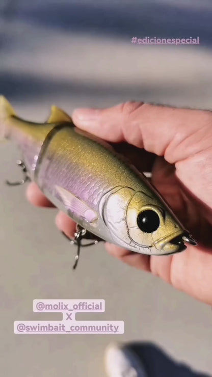 MOLIX X SWIMBAIT COMMUNITY GLIDE BAIT 178F