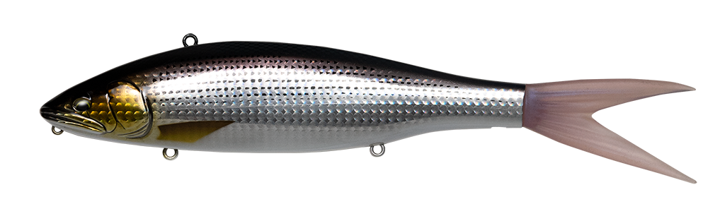 FISH ARROW VT JACK 230
